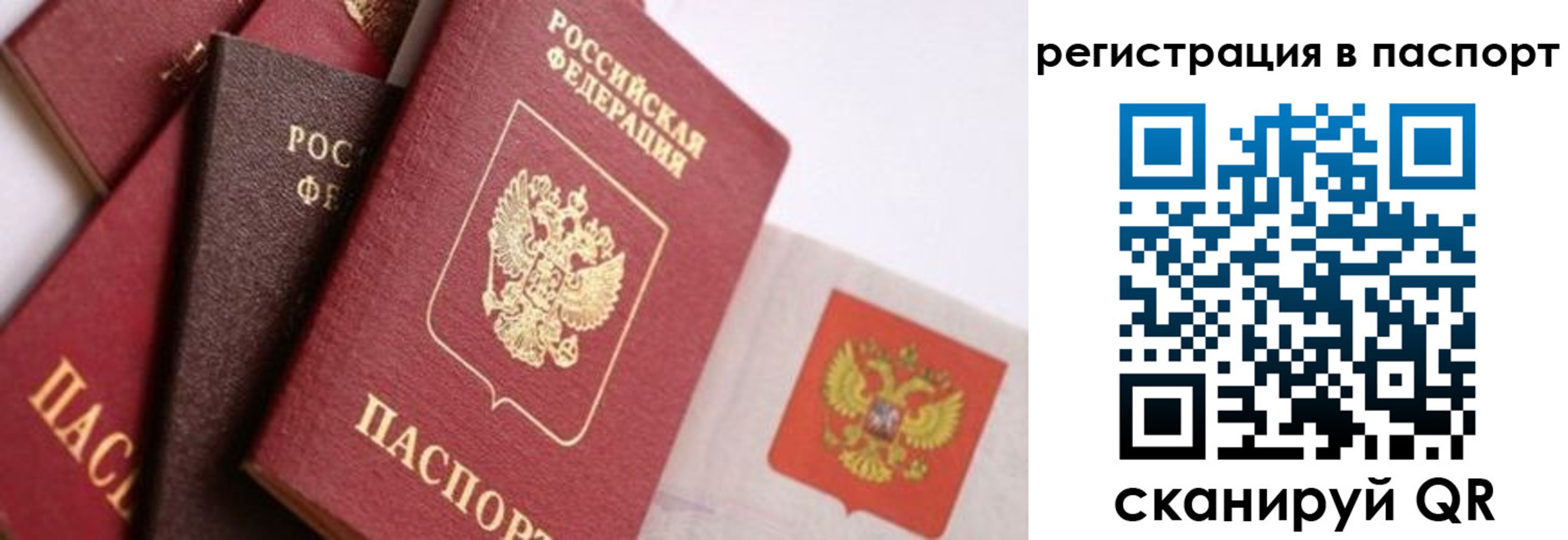 прописка в квартире в Бежецке